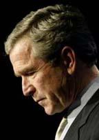 George W. Bush Fan Site profile picture