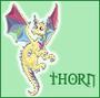 thorn profile picture