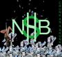 NHB profile picture