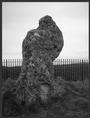 Rollright Stones profile picture