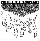 PIG HEART TRANSPLANT profile picture