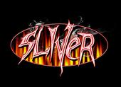 Sliver profile picture