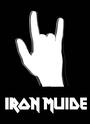 Iron Muide profile picture