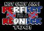 REDNECK METAL CREW - DEATH 'N ROLL CHAPTER profile picture