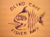 bLiNd CaVe FiShEs profile picture