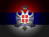 CRVENA ZVEZDA profile picture