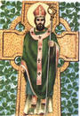 St. Patrick profile picture