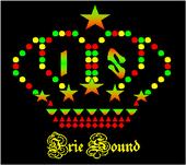 Irie Sound profile picture