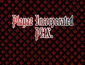 PLAYAZ INC profile picture