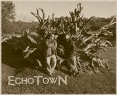 Echo Town profile picture