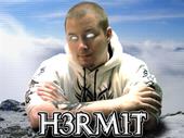 H3RM1T profile picture