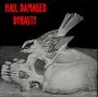 Hail Damaged Dynasty profile picture