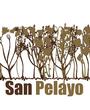 San Pelayo profile picture