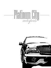 Platinum City Autosports profile picture