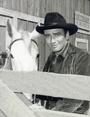 James Drury The Virginian profile picture