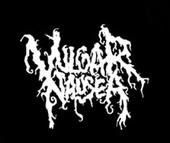 Vulgar Nausea profile picture