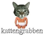 KattenGrabben profile picture