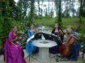 Quartetto Capriccio profile picture