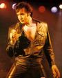 Elvis to the Max..(Max Pellicano)...Fansite.. profile picture