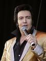 Elvis to the Max..(Max Pellicano)...Fansite.. profile picture