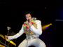 Elvis to the Max..(Max Pellicano)...Fansite.. profile picture