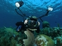 Scuba-Dude profile picture