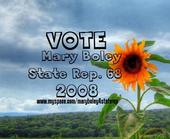 Mary Boley For State Rep profile picture