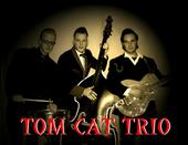 TOM CAT TRIO profile picture