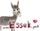 Essek.Gen.TR profile picture