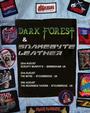 Dark Forest (new song sample) profile picture