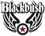 Blackbush profile picture