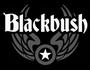 Blackbush profile picture