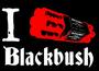 Blackbush profile picture