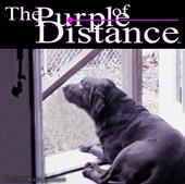 The Purple of Distance profile picture