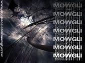 Mowgly Crew profile picture