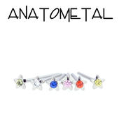 anatometal