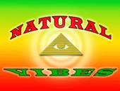 Natural Vibes, LLC profile picture