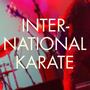 International Karate profile picture