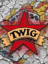 TWIG profile picture