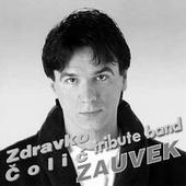 Zdravko Colic Tribute Band profile picture