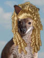 Mamma Roo (pirate wanna-be) profile picture