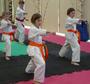 Australian Karate Academy profile picture