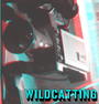 WILDCATTING profile picture