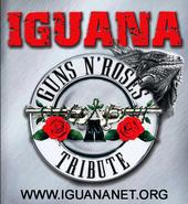 IGUANA. GUNS N ROSES Super Tribute profile picture