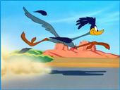 Roadrunner profile picture