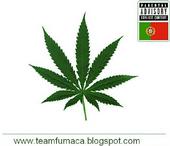 team fumaca records profile picture