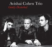 Avishai Cohen profile picture