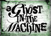 a ghost in the machine profile picture