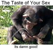 The Taste of Your Sex profile picture