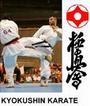 Esprit kyokushin profile picture